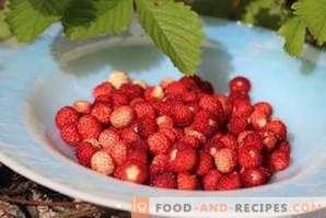 How to freeze wild strawberries