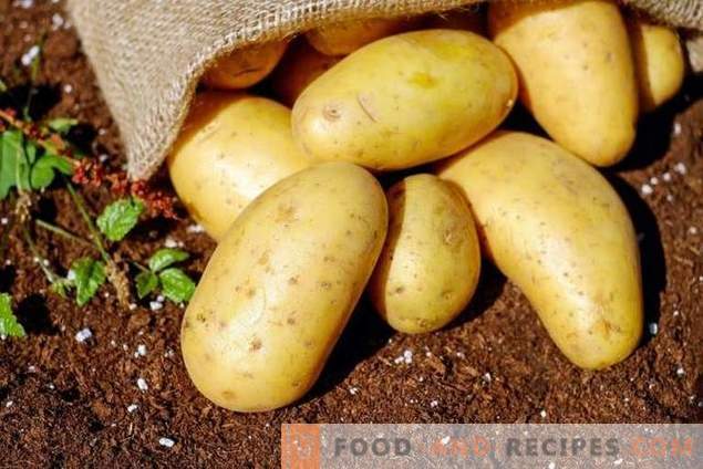 Revisão de meios baratos para preparação de pré-semeadura de batatas para doenças e pragas