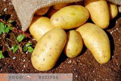 Översyn av billiga medel för förberedande beredning av potatis för sjukdomar och skadedjur
