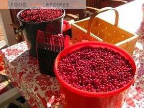 Como armazenar lingonberry