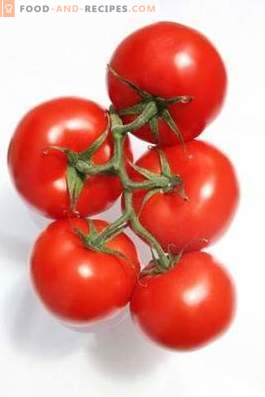 Tomates: avantages et inconvénients pour le corps
