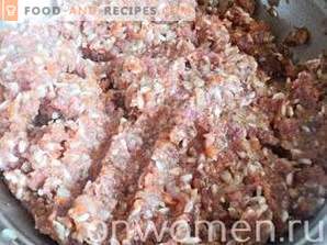 Almôndegas de carne com arroz