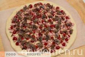 Pizza com salsicha, cogumelos, queijo e tomate