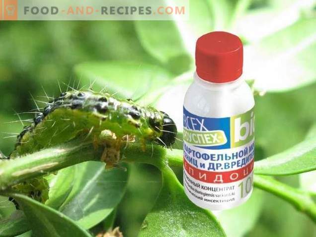 O lepidocida é um medicamento eficaz contra pragas que comem folhas