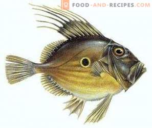 Dori Fish: Benefit e Harm