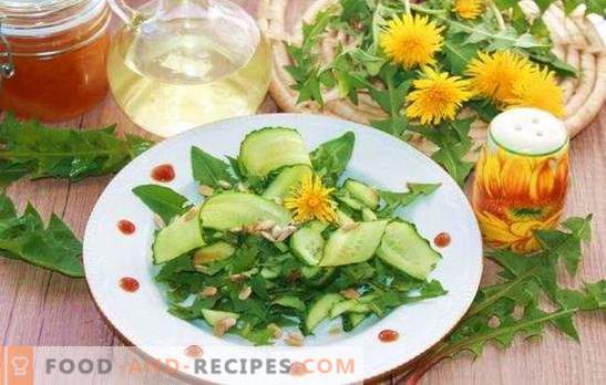 A salada de folhas de dente-de-leão é quase um remédio! Variantes de saladas de folhas de dente-de-leão com queijo, legumes, ovos, frutas, nozes