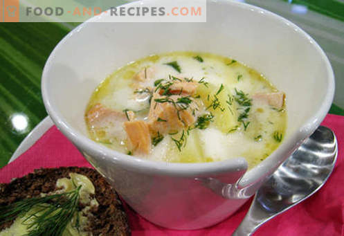 Sopa de cavala - as melhores receitas. Como corretamente e saboroso cozinhar sopa e cavala.