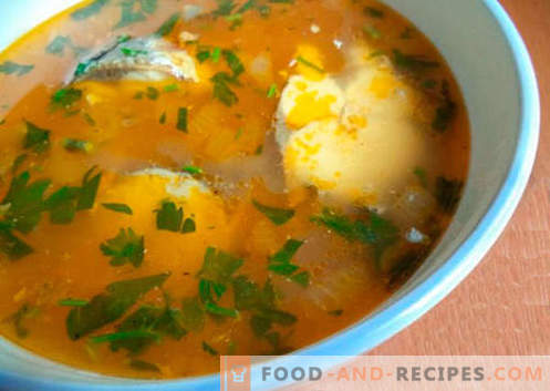 Sopa de cavala - as melhores receitas. Como corretamente e saboroso cozinhar sopa e cavala.