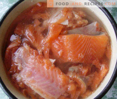 Como conservar salmão rosa em casa é saboroso e rápido, de várias maneiras